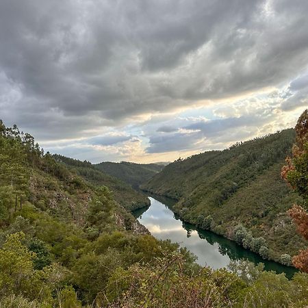Glamping Do Ze Hotell Cernache do Bonjardim Eksteriør bilde