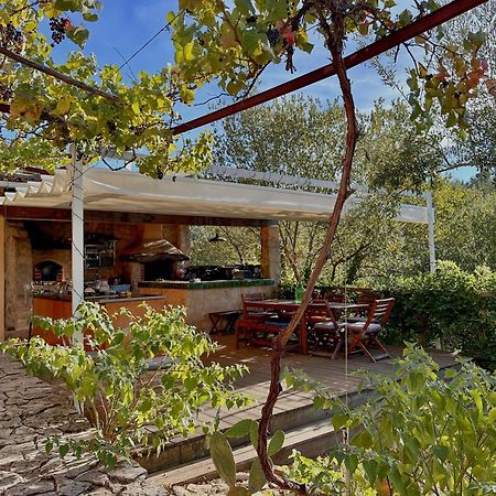 Glamping Do Ze Hotell Cernache do Bonjardim Eksteriør bilde