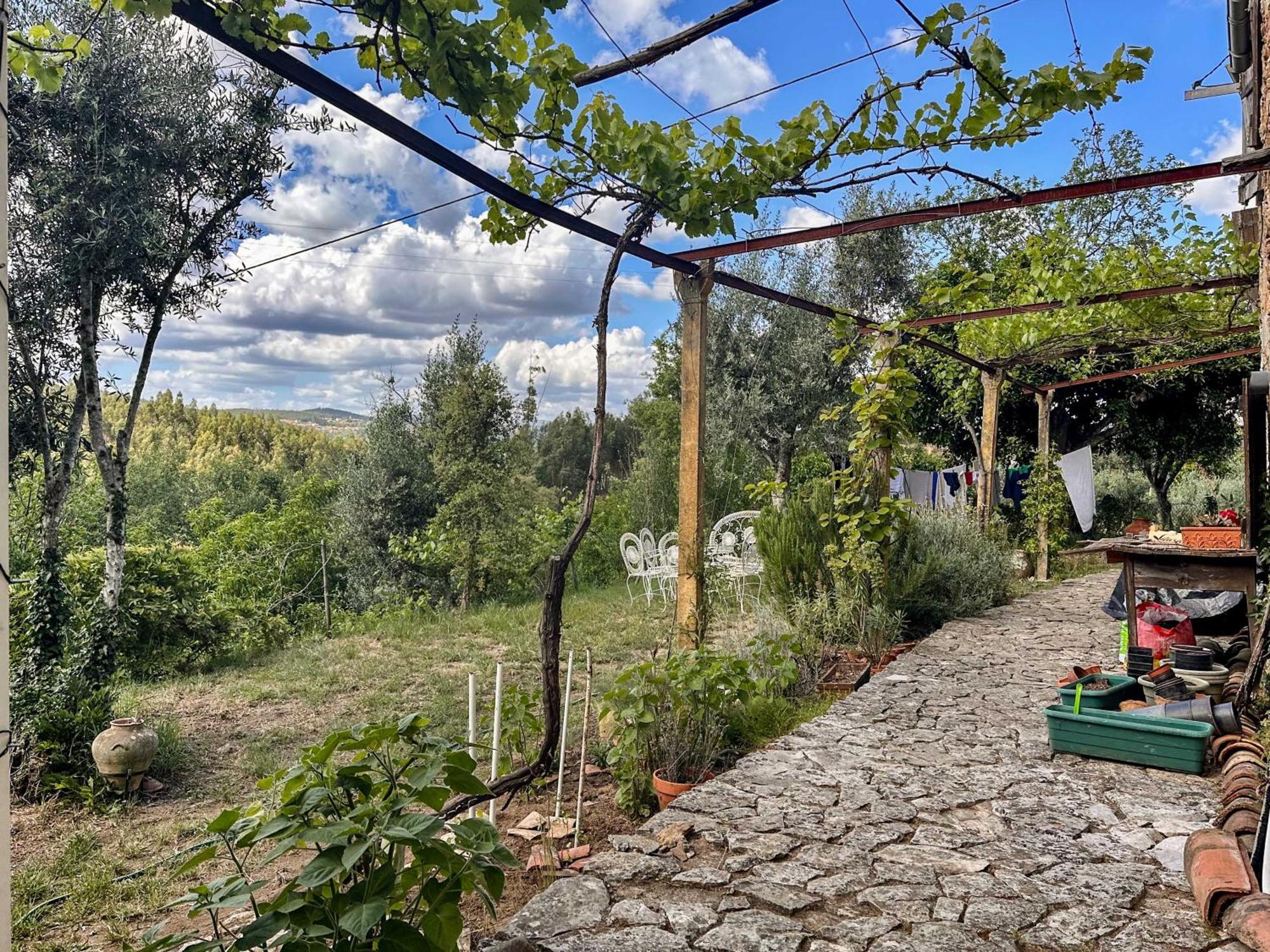 Glamping Do Ze Hotell Cernache do Bonjardim Eksteriør bilde