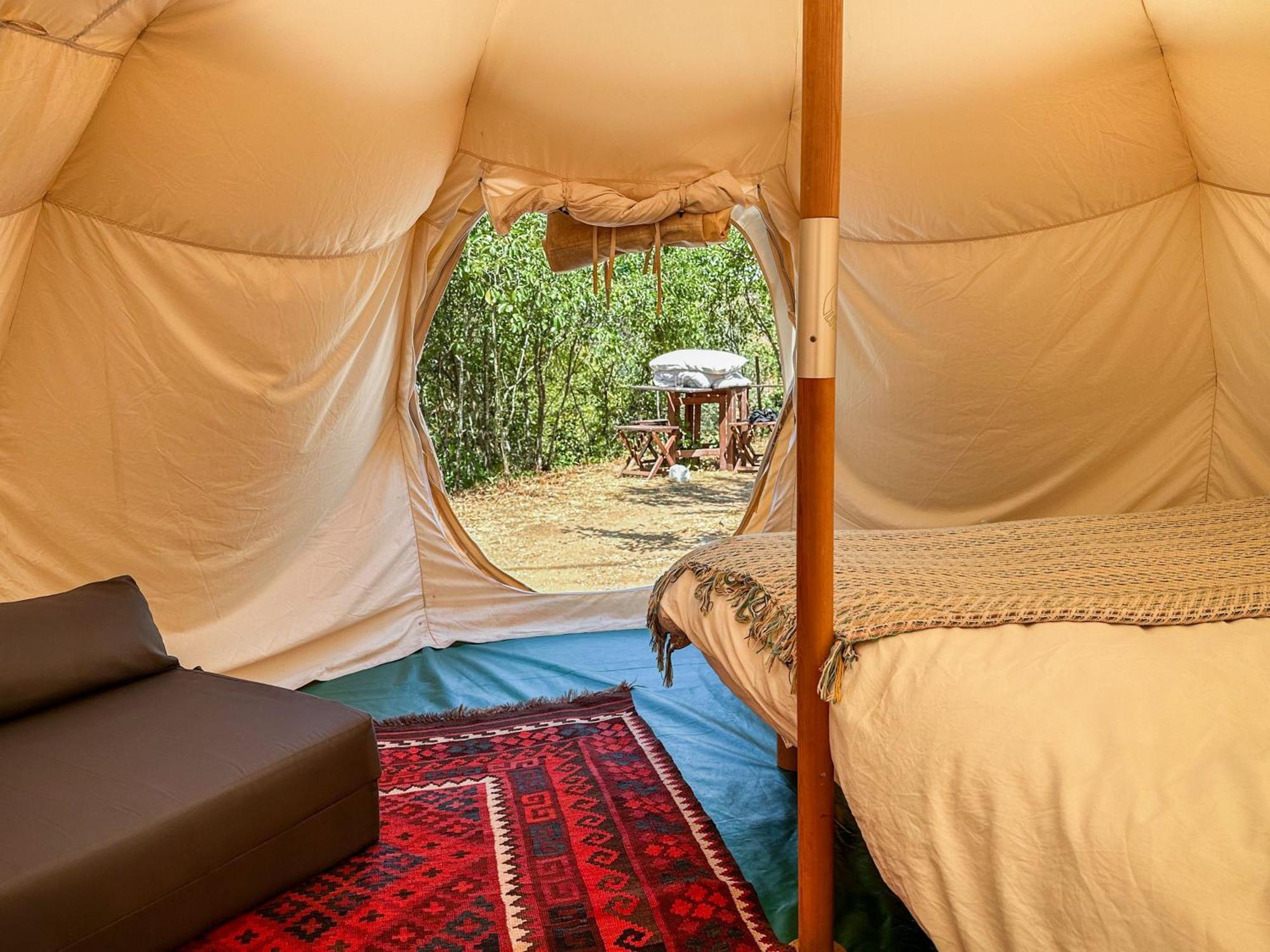 Glamping Do Ze Hotell Cernache do Bonjardim Eksteriør bilde